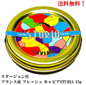 yBLACK FRIDAY SiP10{!(Gg[v)zX^[W tXY tbV LrA STURIA 15g  yܖ2025.12.31z C Hi N[ XgD[A tX쐼 ALe