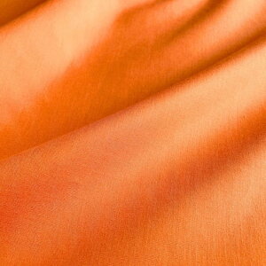 y10%OFFzyGg[܂ōőP22{ N[|Lz200{ȃu[h ؂蔄=1mP S23F y[ւ4m܂ŁzyyVX[p[SALE X[p[Z[z