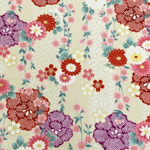 yX[p[SALE܂ő҂ĂȂ͂zCotton-yuzenȃXuV[`Oʃvg6DctH ؂蔄=1mP S5F y[ւ3m܂Łz