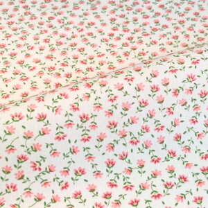 ȃu[hvg3Vvԕ ؂蔄=1mP S9F y[ւ4m܂Łz