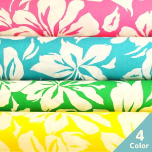 yubNtCf[ ܂ōőP21{ N[|LzTepXnCrXJX ؂蔄=1mP S4F y[ւ3m܂Łz