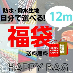 sMpbN 12mtIׂ镟܃`Pbg hEnyzyN[|psz