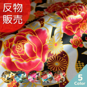 Tevg×割O ̔=50m S5F yz