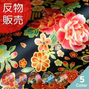 TevgԕH×Sԕ ̔=50m S5F yz