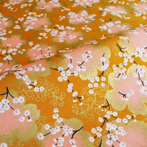 ȃV[`Oʃvg53l ؂蔄=1mP S4F y[ւ3m܂Łz