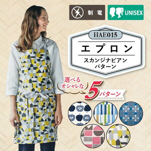 Gv fB[X ̓  i` k XJWirA HAE015 V[g { _ |Pbg Xbg obNNX Mtg 蕨 v[g JtFGv