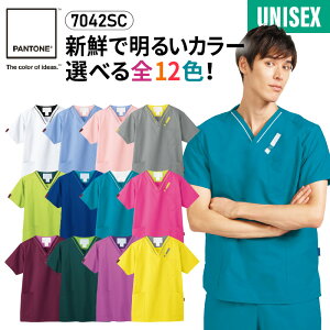 XNu   PANTONE pg Y j fB[X  jp   ₷ 3L 4L 傫TCY lCr[ folk tH[N 7042SC hN^[ i[X Ōt