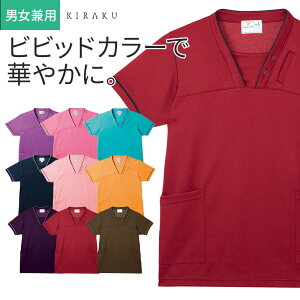 XNu   29CR152 LN KIRAKU g{ ×p NjbN  { fBJ f f@  hN^[ i[X Ōt m jtH[ EFA gbvX p