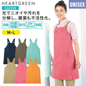 Gv n  fB[X Y  j jp  ۈm wp[ |Pbg L R  h UVJbg d  CAE058 J[V[