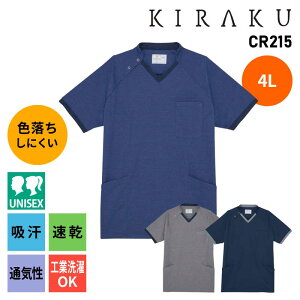 XNu    fB[X Y  hސF Fɂ z  |100 HƐ ₷  j t Ōt i[X m 4L CR215 LN KIRAKU