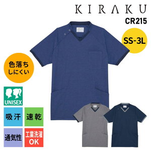 XNu    fB[X Y  hސF Fɂ z  |100 HƐ ₷  j t Ōt i[X m SS 3L CR215 LN KIR