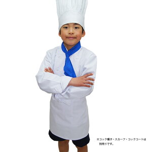【メール便対応可】子供用前掛け 小さいサイズ キッズ エプロン 男子 女子 児童用 白衣 730-90 イベント なりきり 誕生日 パティシエ コック 料理人