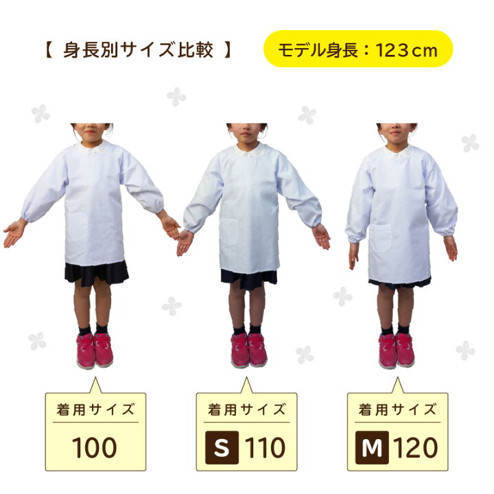 楽天市場】【10％OFFクーポン対象☆5/23 20時～4H限定】【メール便対応