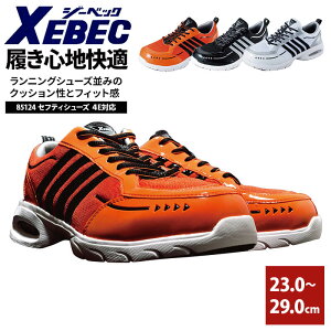 SC Xj[J[   y y C ubN  R hL Nc Ռz c ZteB[V[Y ƌC d ɂ 23.0-29.0 Ȃ 4e 85124