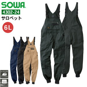 ƕ Tybg 4302-24 Ka SOWA 6L C[W[PA ƒ jp YEfB[XTCYΉi
