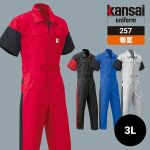 ƒ ƕ Ȃ ciM Ȃ  RcC tėp t I[V[Y ʔN jp jZbNX fB[X Y 257 ѓdh~ [NEFA DIY J[fjO TCNO L