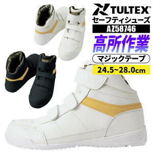 ^ebNX SC Z[teBV[Y Y j   ~hJbg }WbNe[v Xj[J[ ƌC ACgX AZ-58746 c  Jt