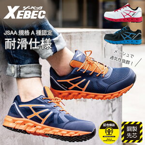 SC fB[X  Xj[J[ ʋC y ƌC |c JSAAKi AFi W[xbN 85142 ϊ ϖ R hL Ռz EEE 傫TCY XEBEC