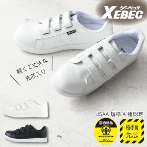 y5OFFN[|Ώہ9/20zSC fB[X  Xj[J[ ƌC JSAAKi AFi W[xbN 85411 ϊ ϖ R hL EEE XEBEC C jp 傫TCY JWAX