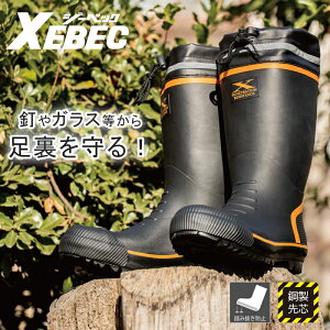 y10OFFN[|Ώہ11/10 20`6HzSC fB[X  C Z[teB[V[Y ƌC Ou[c ݔh~ |c W[xbN 85719 z XEBEC  ЊQ