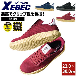 SC Xj[J[   y y C jp jZbNX ubN  Nc c Ռz |c vXj[J[ JSAA A퍇i ƌC d ɂ