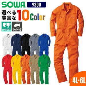 Ȃ  ƕ ƒ ciM Ȃ fB[X Y ciM Jt   傫TCY 4L 6L   | Ka SOWA 9300 I[V[Y ߑ Cxg w