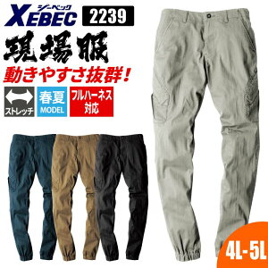 WK[pc Xgb` W[xbN XEBEC ꕞ Y ƕ ƒ    ₷  傫TCY 4L 5L 􂢉H 2239 