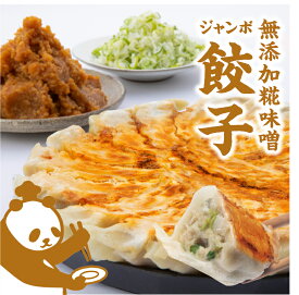 【徳用1.6kg・糀味噌】 冷凍ジャンボ餃子 ジャイアントハマ 大粒40個入り（1つ40g） やまさ味噌使用 大容量 人気餃子
