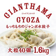 【水餃子 茹でるだけでもっちもち】磐城飯店ジャイアントハマの水餃子は皮を厚めにして作っているので鍋…
