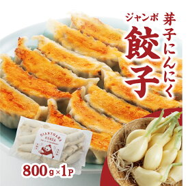 【800g・芽子にんにく】 冷凍ジャンボ餃子 ジャイアントハマ 大粒20個入り（1つ40g） いわき産芽子にんにく使用　もちもち　ジューシー 餃子 ぎょうざ ギョウザ