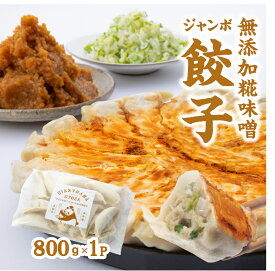 【800g・糀味噌】 冷凍ジャンボ餃子 ジャイアントハマ 大粒20個入り（1つ40g） やまさ味噌使用 　　発酵味噌　もちもち　ジューシー　肉汁たっぷり ぎょうざ ギョウザ