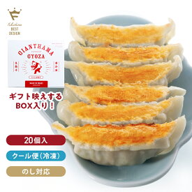 【お取り寄せギフト箱／餃子】リアルタイムランキング1位獲得！大きくて美味しいとリピート感謝 肉汁たっぷりジャンボ餃子のジャイアントハマ 5人前(20個入) 1つ40g（※通常の倍 弊社調）の大粒 地域で人気の愛され餃子 冷凍 国産 お歳暮　お中元 送料無料