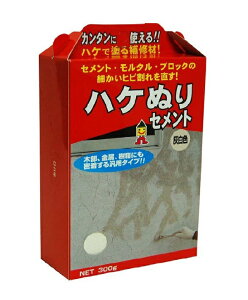 {~RY nPʂZg DF MHS-01 300G