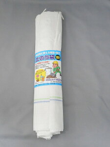  ŷ nCO[h 10 48cmX62cm Ѝ݌ɕi