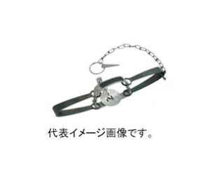 hqY yAG-1z C type No.401 ߊl Eւ͕̔ʓrA܂B قǂA܂̂ŗ\߂肢܂B y[J[iz ysz