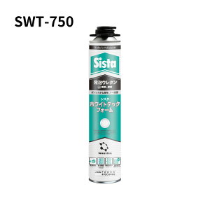 wPWp AE^ VX^ zCgebNtH[ SWT-750 1{^12{Zbg