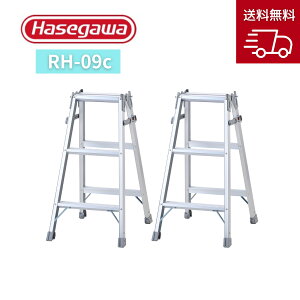 y2Zbg  ݌ɂzJH ͂pr XebvL RH-09c 2Zbg 3i 3