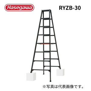 長谷川工業 脚部伸縮式専用脚立 ブラック RYZB-30 10段 10尺