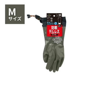 y5oZbgzV[O[u heX Jt 284 M I[uO[ ^Ot