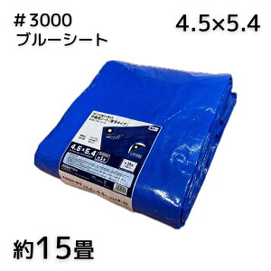 AClbg #3000u[V[g 4.5X5.4 1^4^8