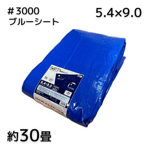 AClbg #3000u[V[g 5.4X9.0 1^4