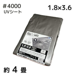 AClbg #4000 UVVo[V[g 1.8X3.6 1^8Zbg