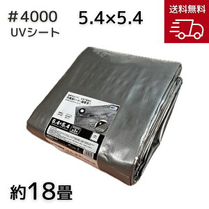 AClbg #4000 UVVo[V[g 5.4X5.4