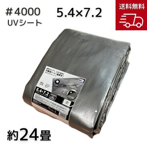 AClbg #4000UVVo[V[g 5.4X7.2 1^2Zbg