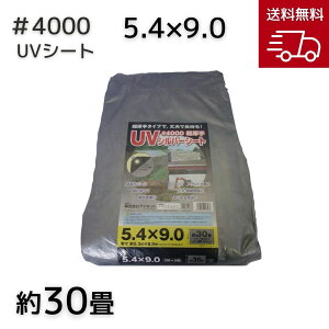 AClbg #4000UVVo[V[g 5.4X9.0