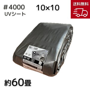 AClbg #4000 UVVo[V[g 10x10
