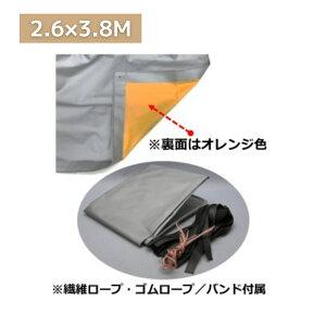 y݌ɂ z^JCN V[g gbNV[g^[| 4 260×380cm T-4