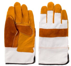 xmO[u  Dp  t[ 1504y10oZbgzy񂹏iz