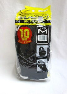 Ag Es^ ubN 10P 1556-10P M