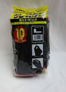 Ag Es^ ubN 10P 1556-10P L